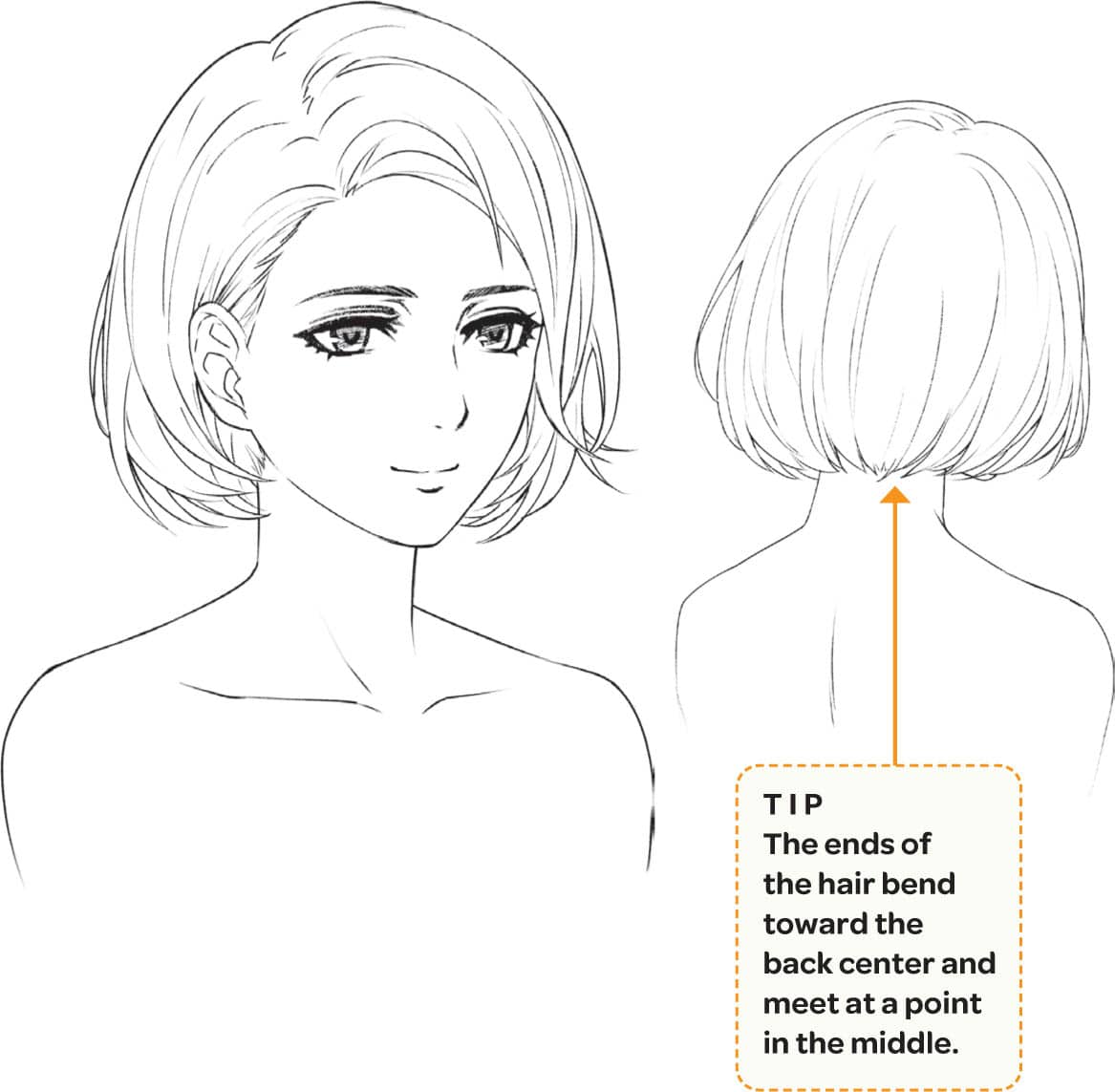 TIP The ends of the hair bend toward the back center and meet at a point in the middle.