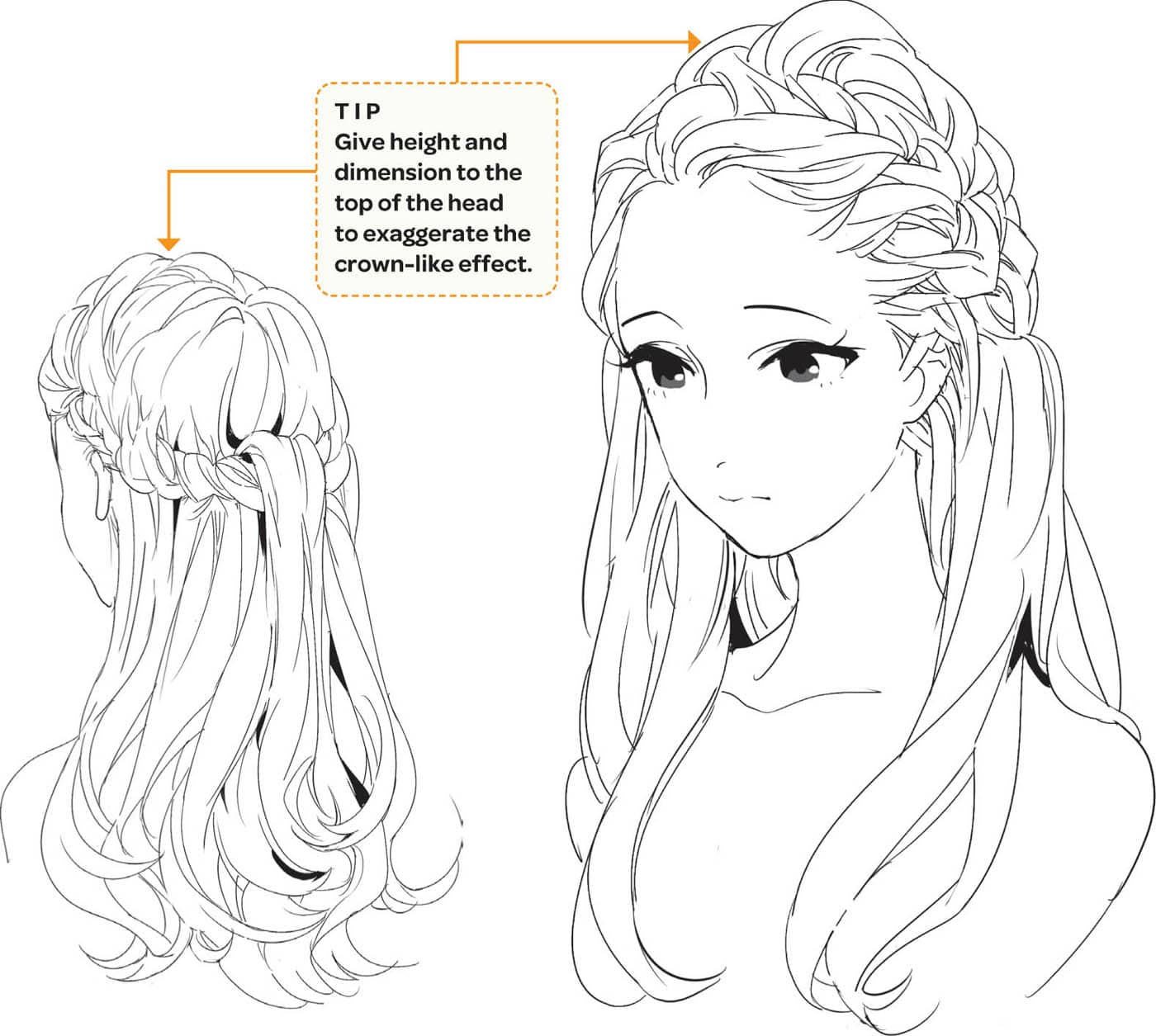 TIP Give height and dimension to the top of the head to exaggerate the crown-like effect.