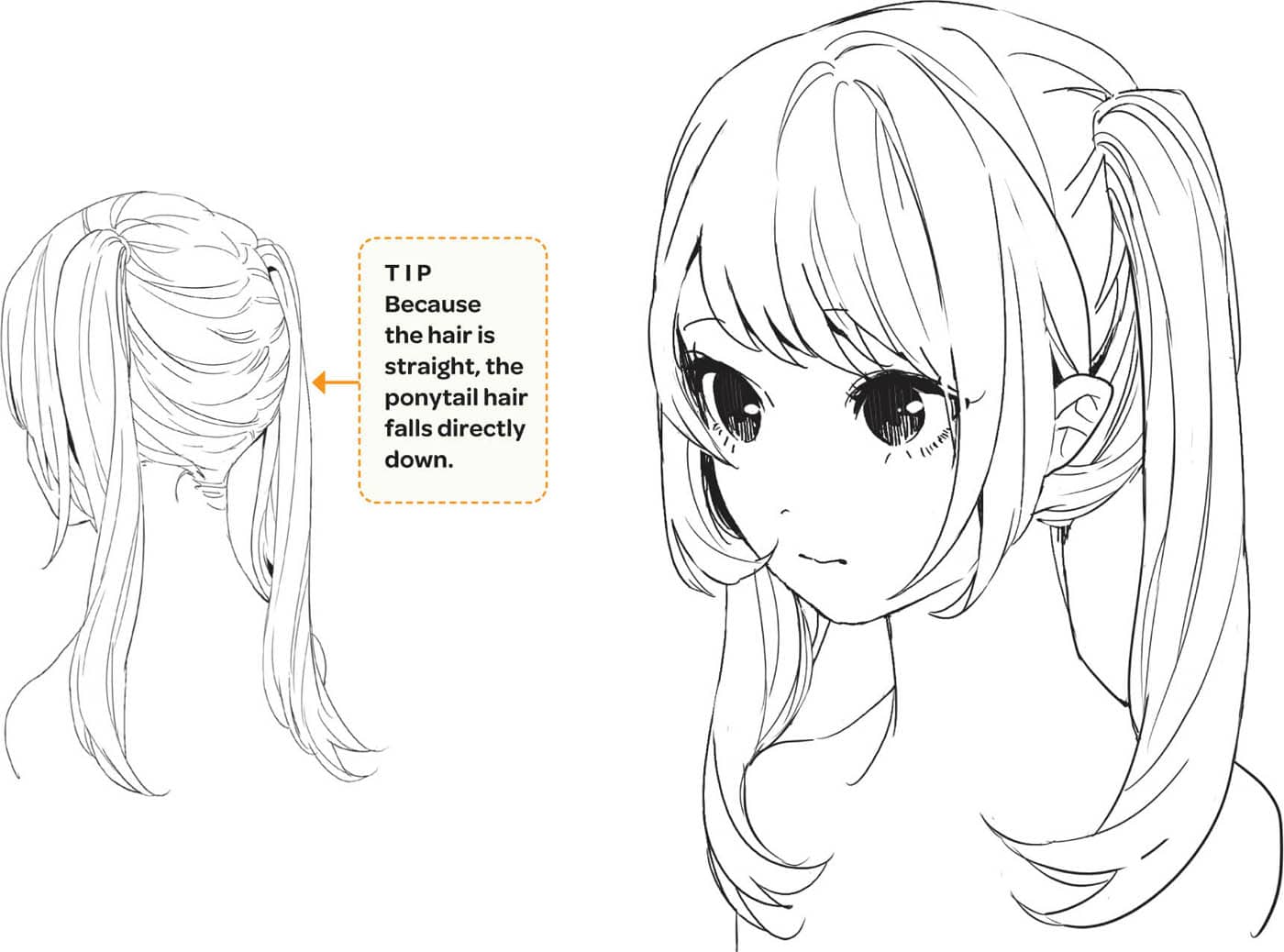 TIP Because the hair is straight, the ponytail hair falls directly down.