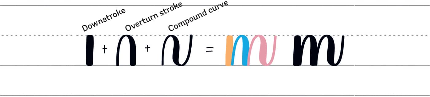 Downstroke Overturn stroke Compound curve