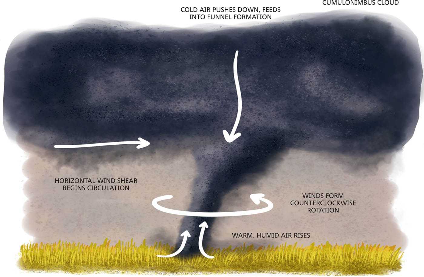 COLD AIR PUSHES DOWN, FEEDS INTO FUNNEL FORMATION CUMULONIMBUS CLOUD HORIZONTAL WIND SHEAR BEGINS CIRCULATION WINDS FORM COUNTERCLOCKWISE ROTATION WARM, HUMID AIR RISES