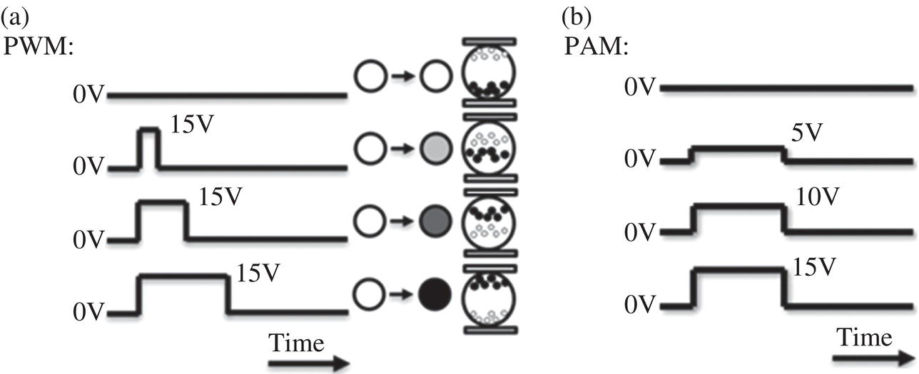 Schematic illustration of multi-gray scale of E-paper driven by (a) PWM and (b) PAM.