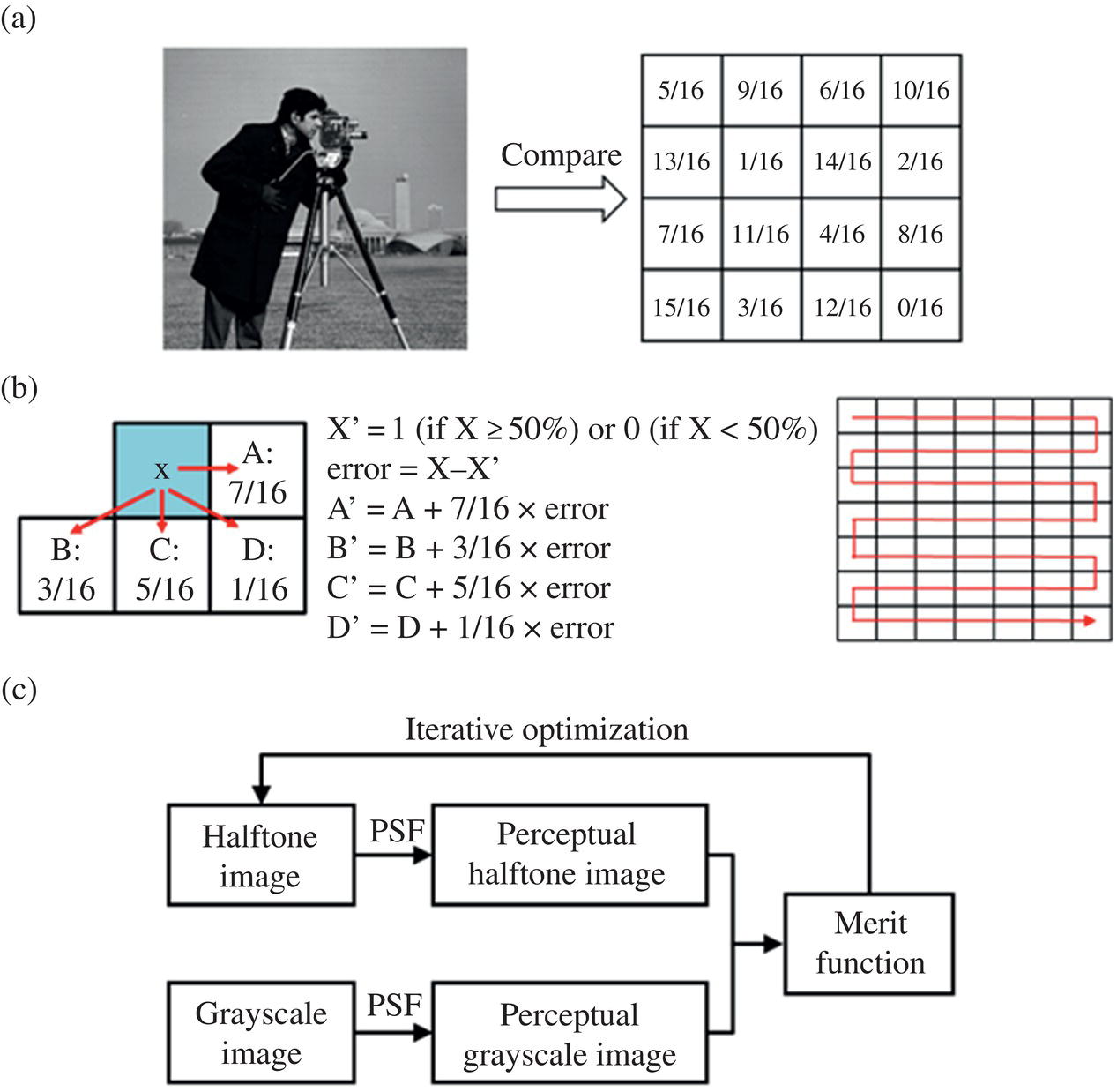 Schematic illustration of digital halftoning methods.