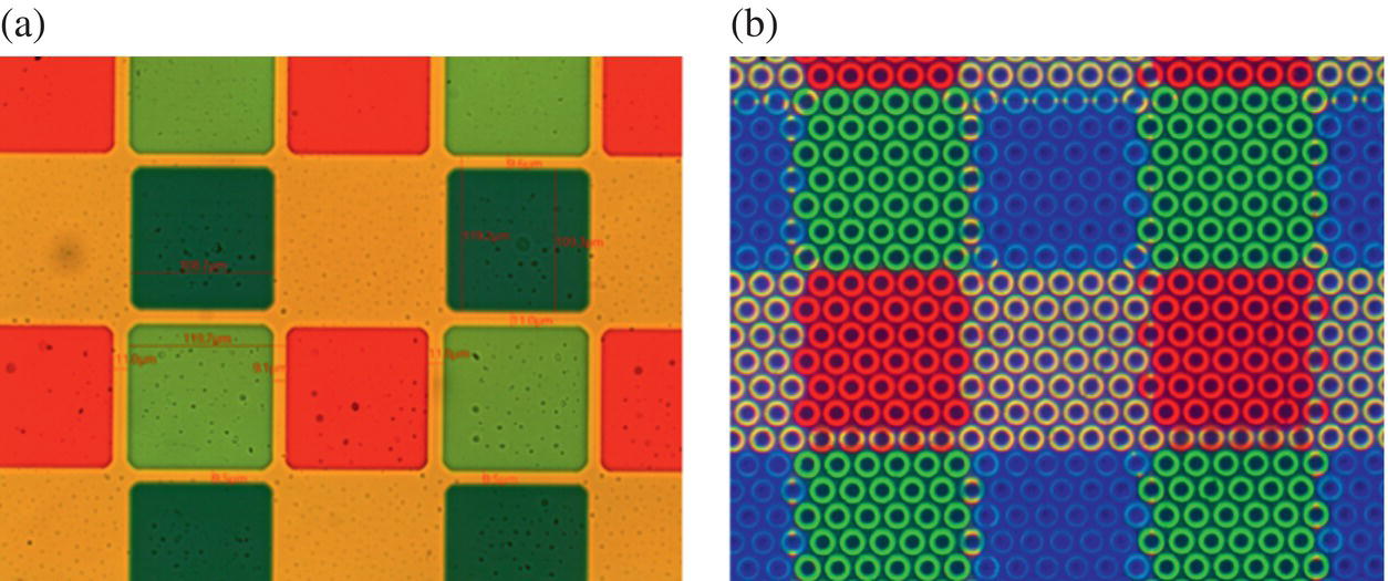 Schematic illustration of optical micrographs of 2017 SID demo; (a) color filter array, and (b) Gen 2 type optical structures microreplicated onto the CFA.