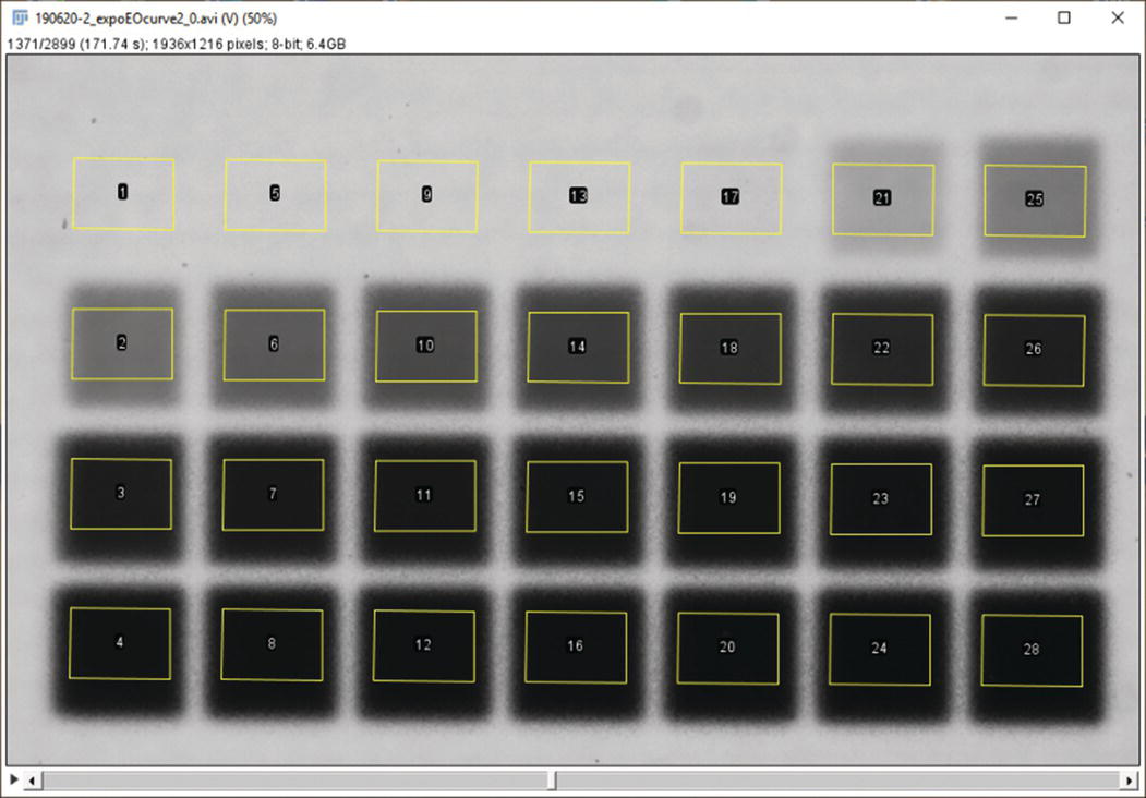 Schematic illustration of 1 mm by 1 mm squares demonstrating 28 gray levels on a single active matrix device.