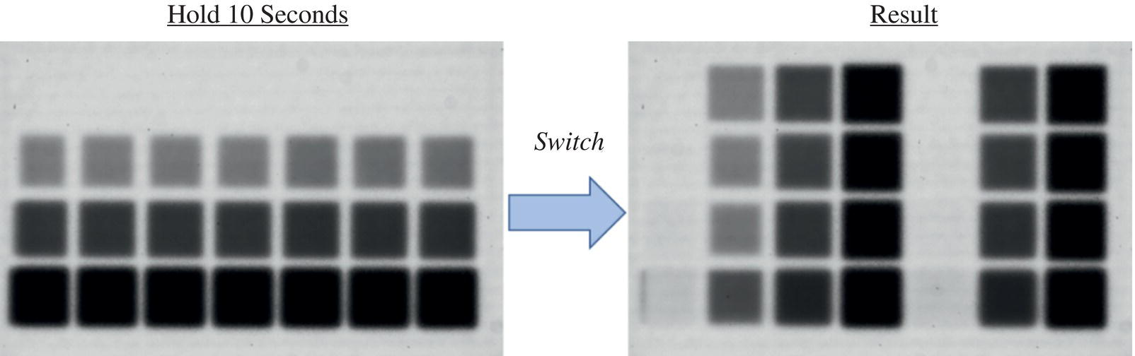 Schematic illustration of left images shows four rows, each with a distinct gray level being held for 10 seconds. Right image shows 1 second after each row was switched to four different gray levels.