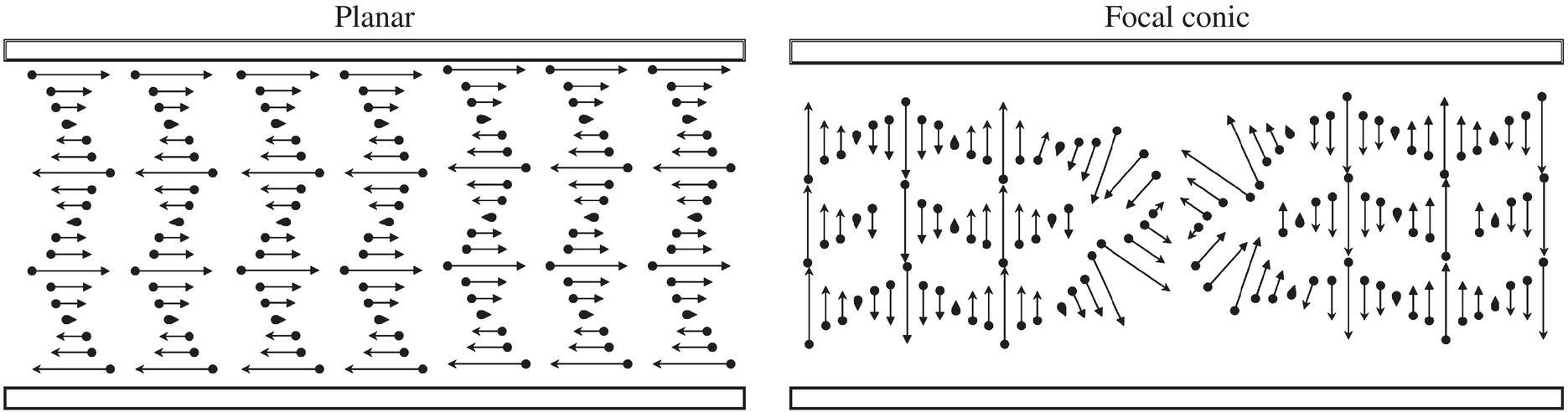 Schematic illustration of some structures of cholesteric liquid crystals.