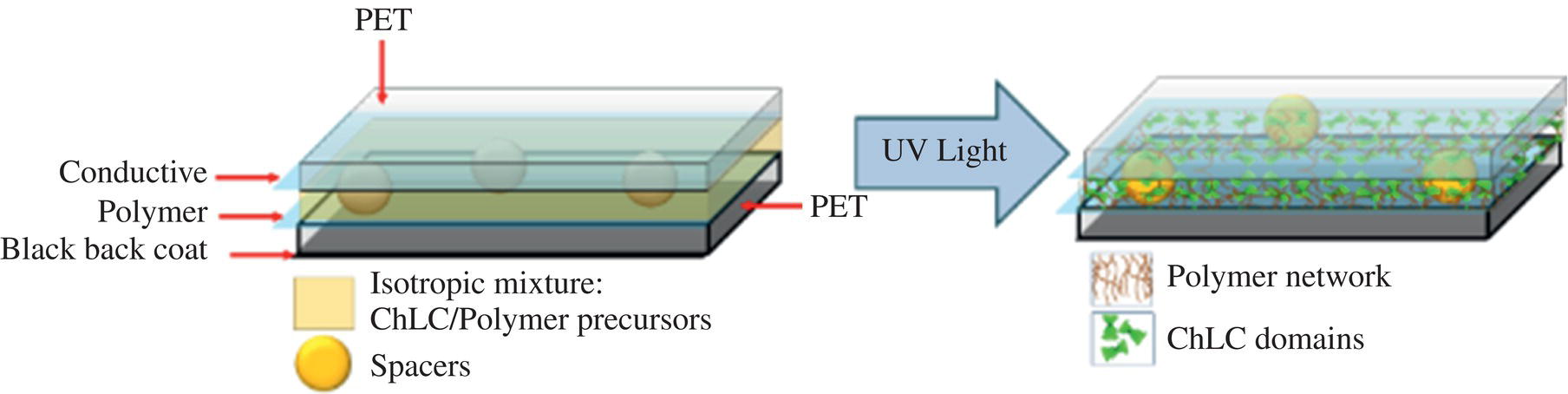 Schematic illustration of general representation of the polymerization induced phase separation process to fabricate a writing tablet.