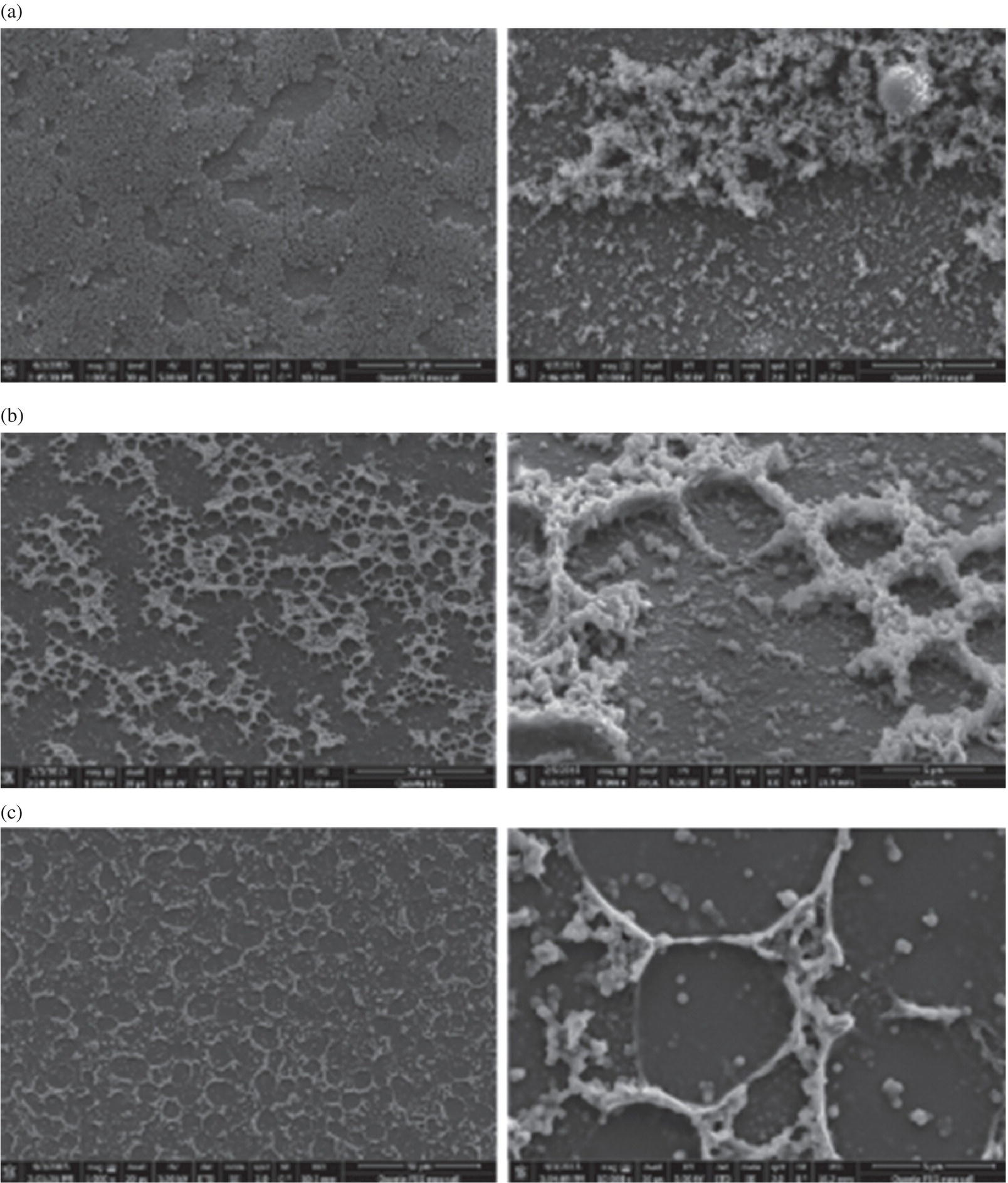 Schematic illustration of SEM pictures of three different types of writing tablet morphologies.