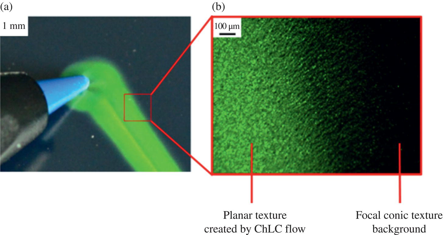 Schematic illustration of zoom in to the border between Planar textures created by flow and the Focal conic texture of the rest of the device.