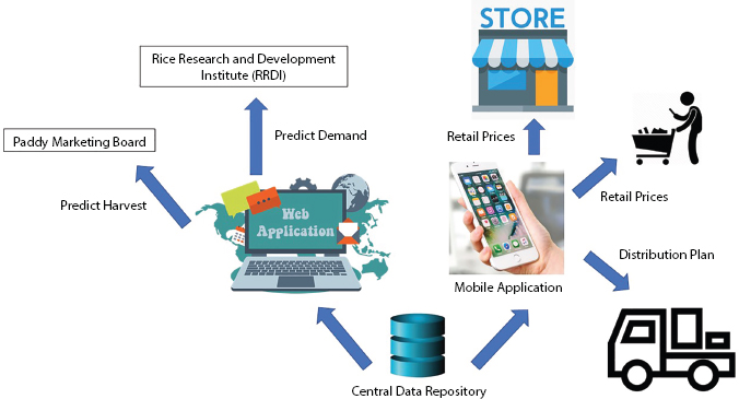 Schematic illustration of the business model of is Rice.