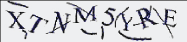 Schematic illustration of the text-based captcha used in Microsoft website.