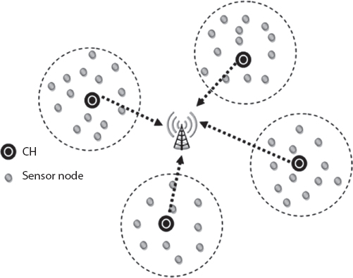 Schematic illustration of the clustered WSNs.