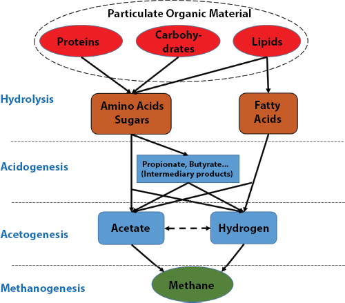 Schematic illustration of the principal of biogas generation.