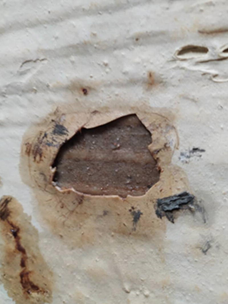 Photo depicts damage of the inner layer of a protective coating applied inside an acid tank (biologically produced sulfuric acid) after being in service for about one year.