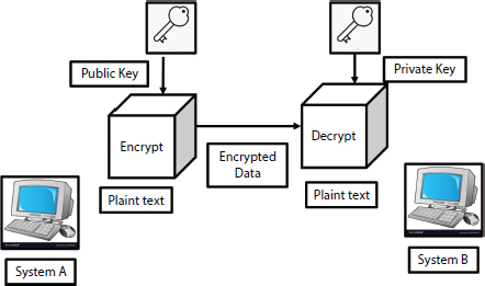 Schematic illustration of the asymmetric encryption.