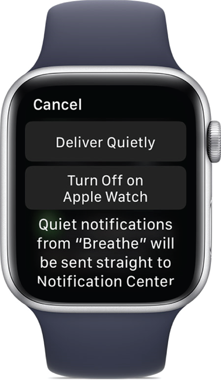 Photo depicts choosing how to receive app notifications right from Apple Watch.