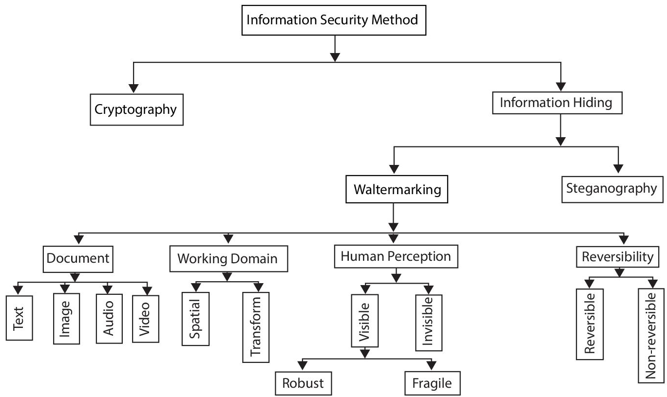 Schematic illustration of classification of information hiding methods.