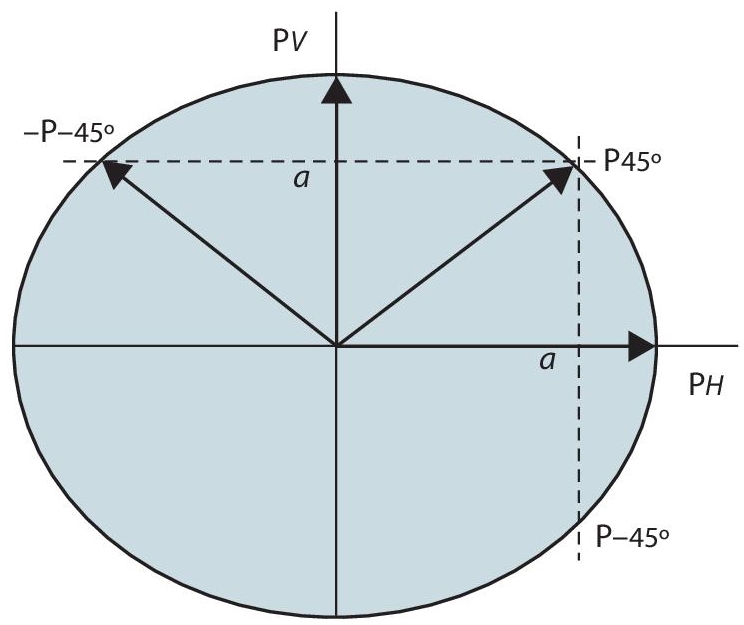 Schematic illustration of vector of different polarizations (photon).