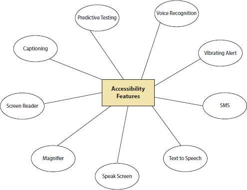 Schematic illustration of the accessibility features for mobile app.