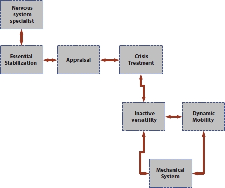 Schematic illustration of basic rehabilitation process.