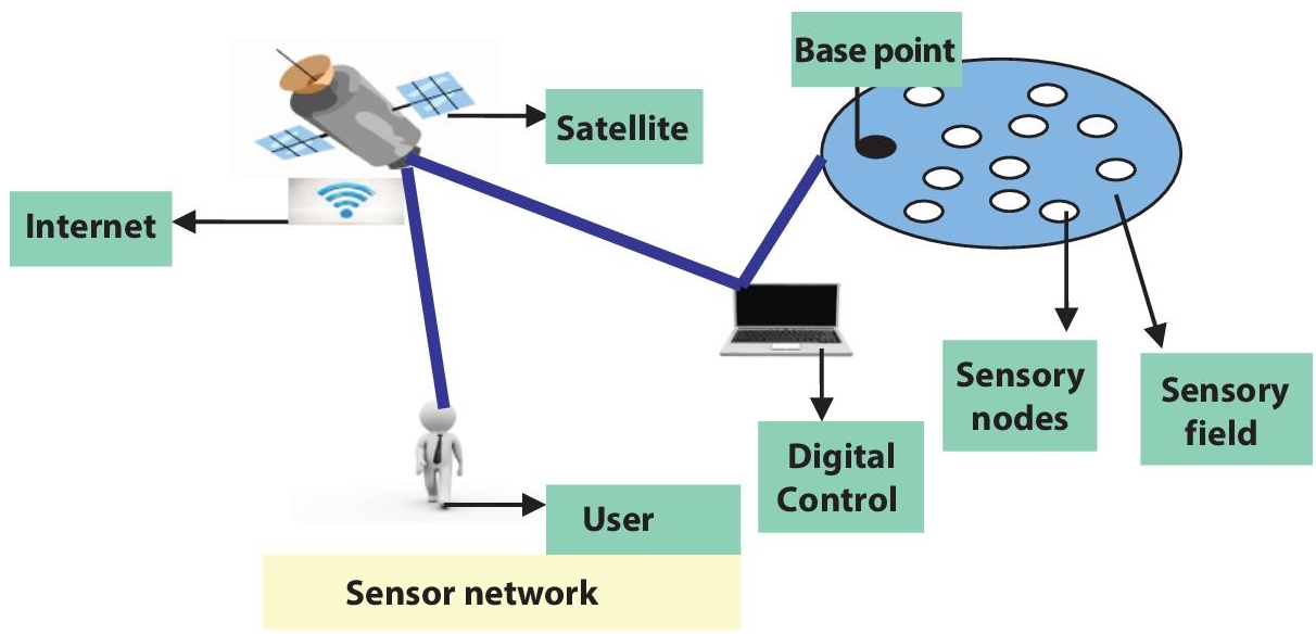 Schematic illustration of sensor network system.