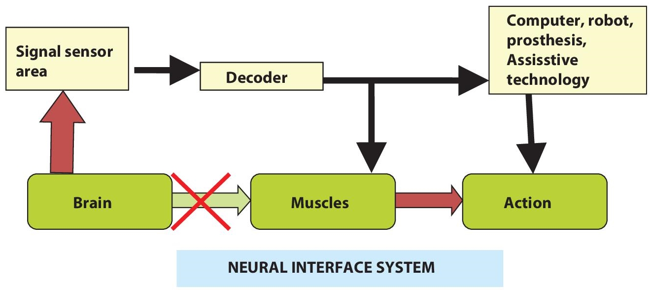 Schematic illustration of neural interface system.