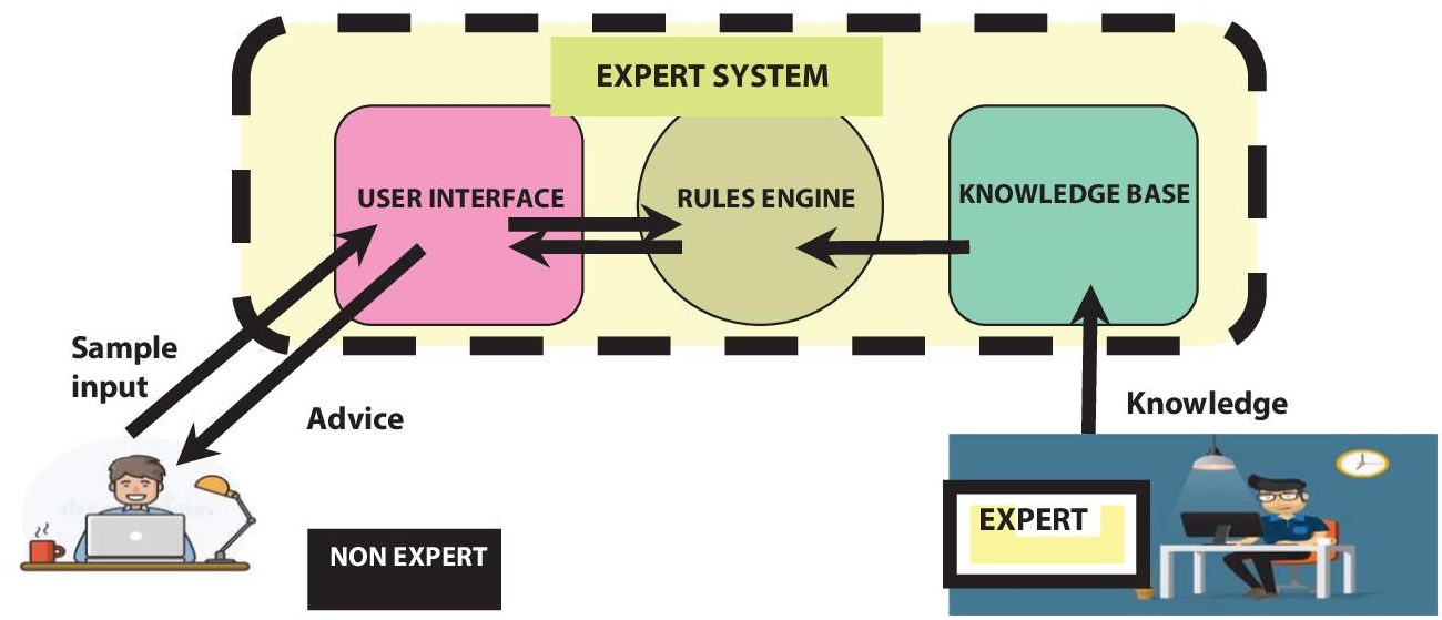 Schematic illustration of working process of expert systems.