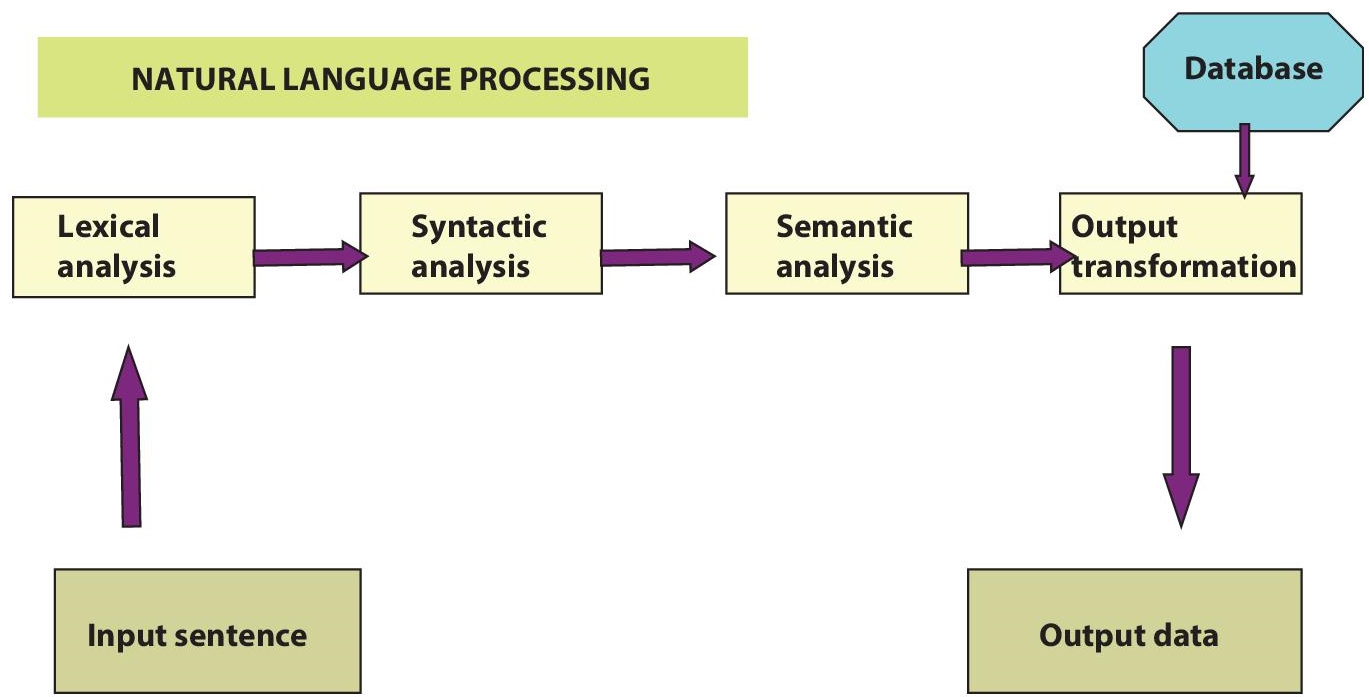 Schematic illustration of language processing system.