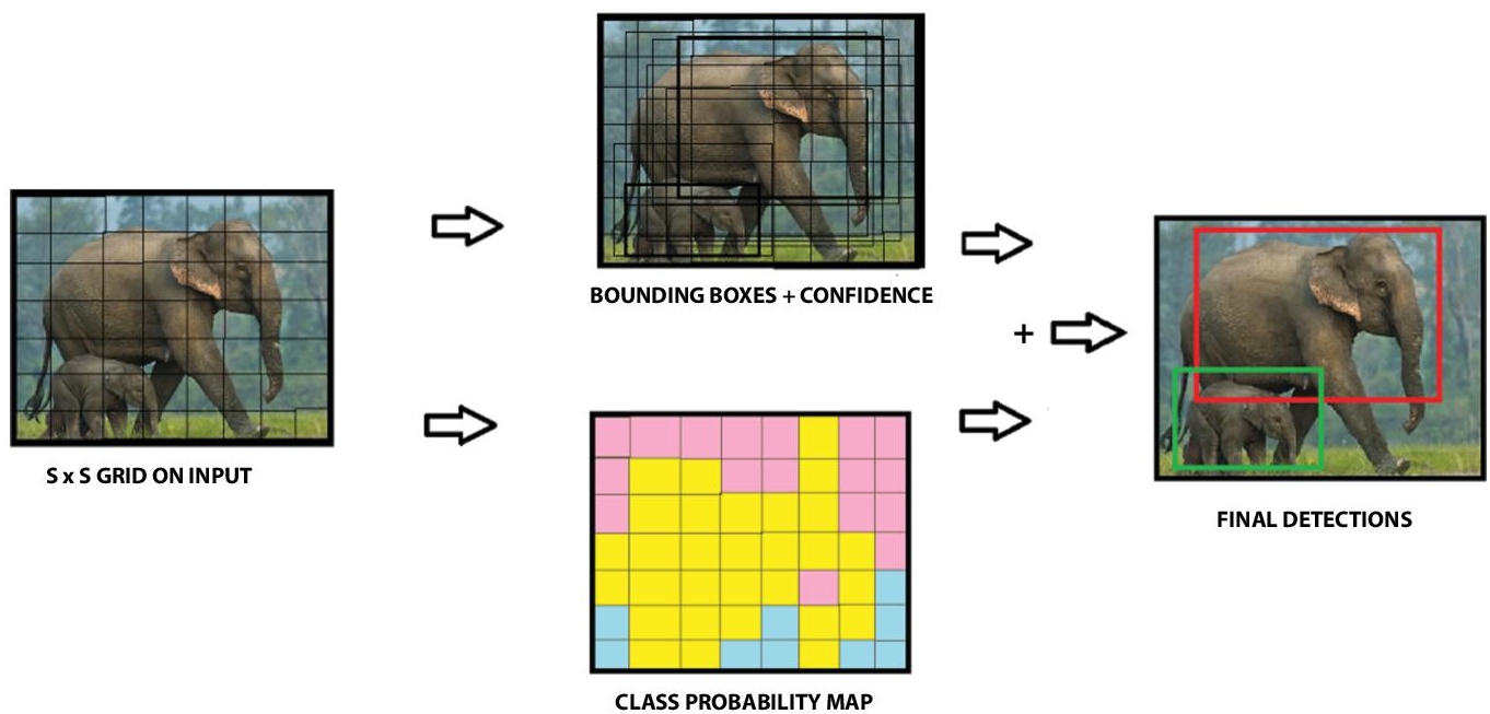 Schematic illustration of YOLO model.