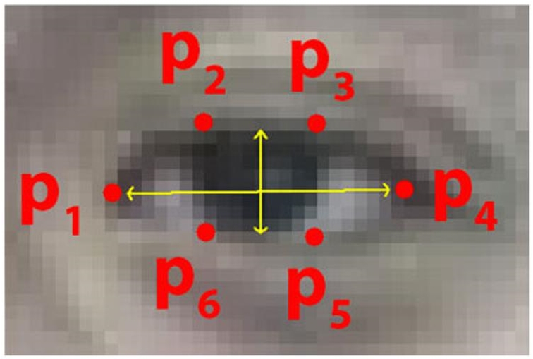 Schematic illustration of landmark on human eye.