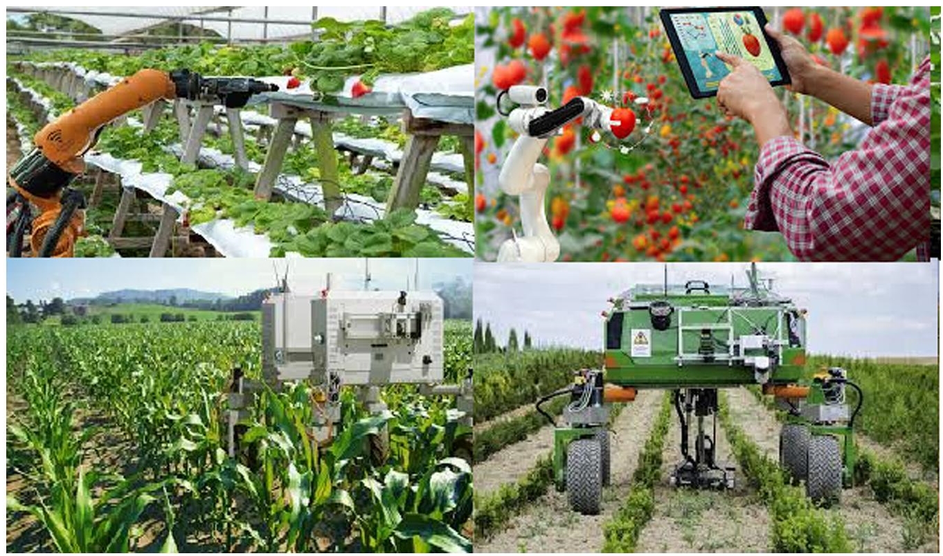 Photograph of robot in agriculture.