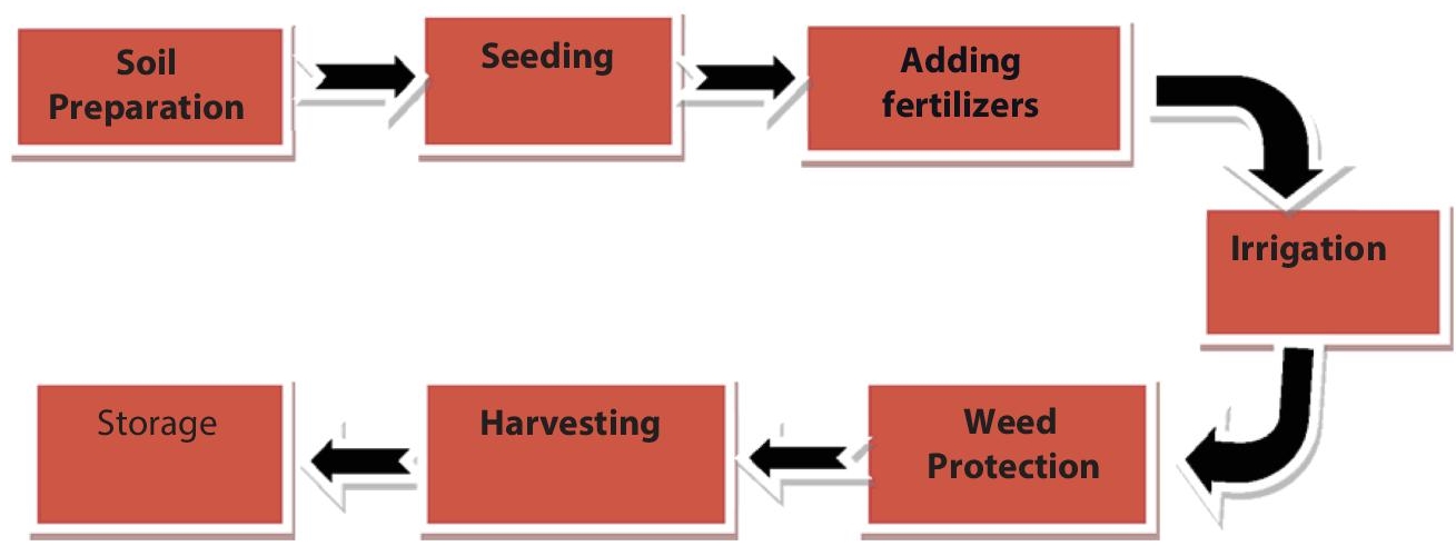 Schematic illustration of lifecycle of agriculture.