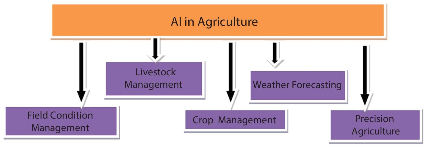 Schematic illustration of AI in agriculture system diagram.