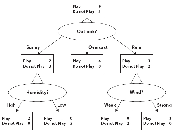 Schematic illustration of an decision tree example.