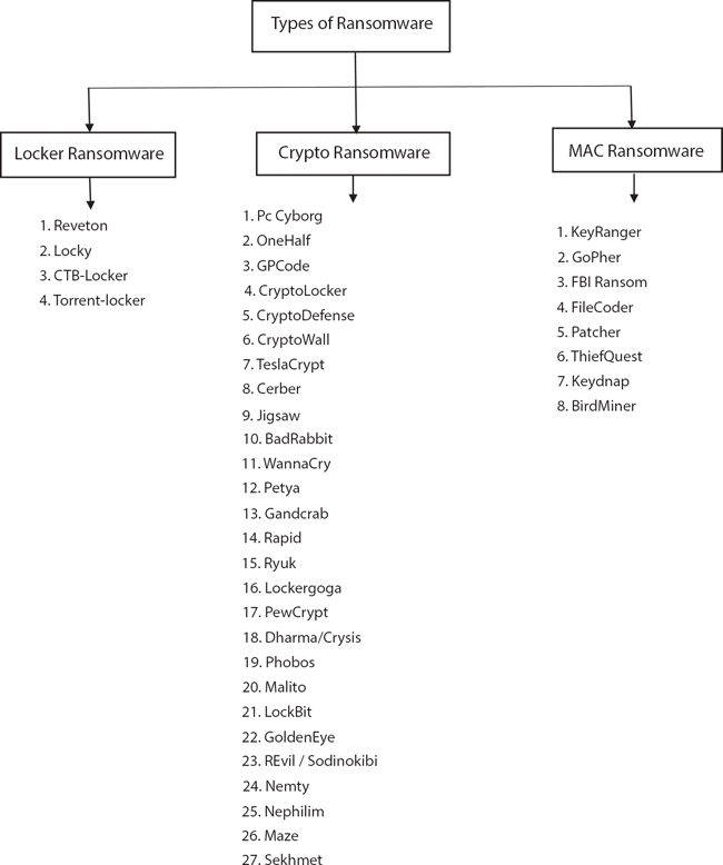 Schematic illustration of the types of ransomwares.