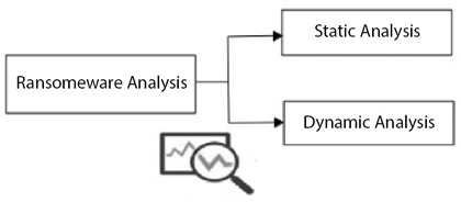 Schematic illustration of a ransomware analysis.