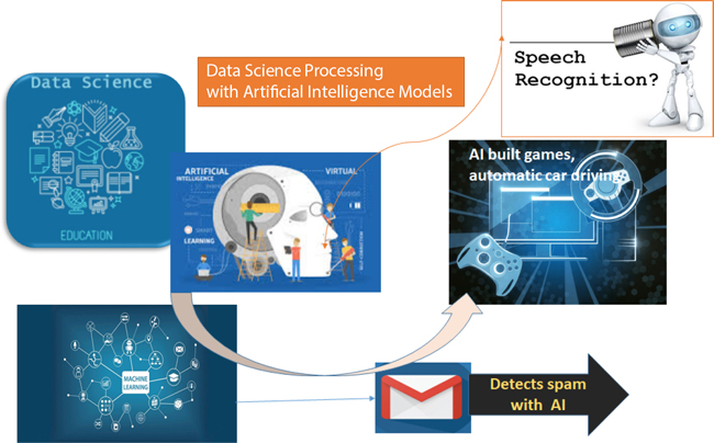 Schematic illustration of the role of artificial intelligence in data science.