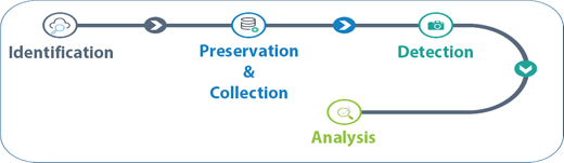 Schematic illustration of digital forensics steps.