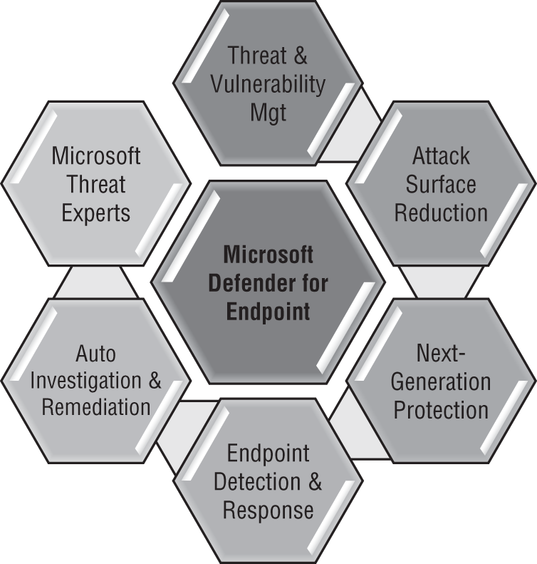 Schematic illustration of Microsoft Defender for Endpoint services