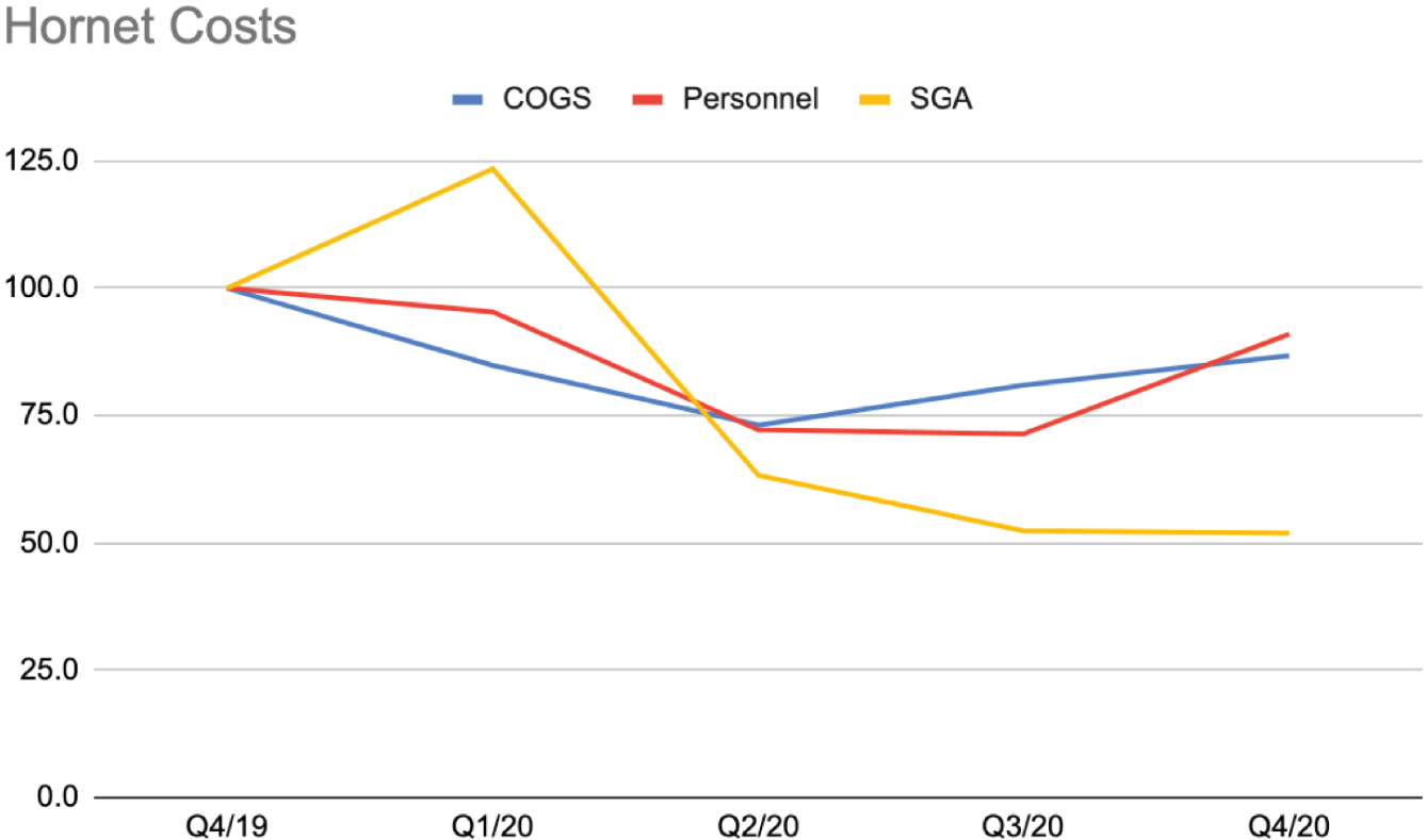 Schematic illustration of company costs in 2020.