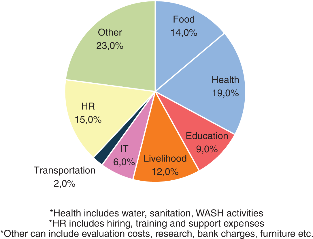 Schematic illustration of the funds raised through the Global Humanitarian Appeal addressed various needs.