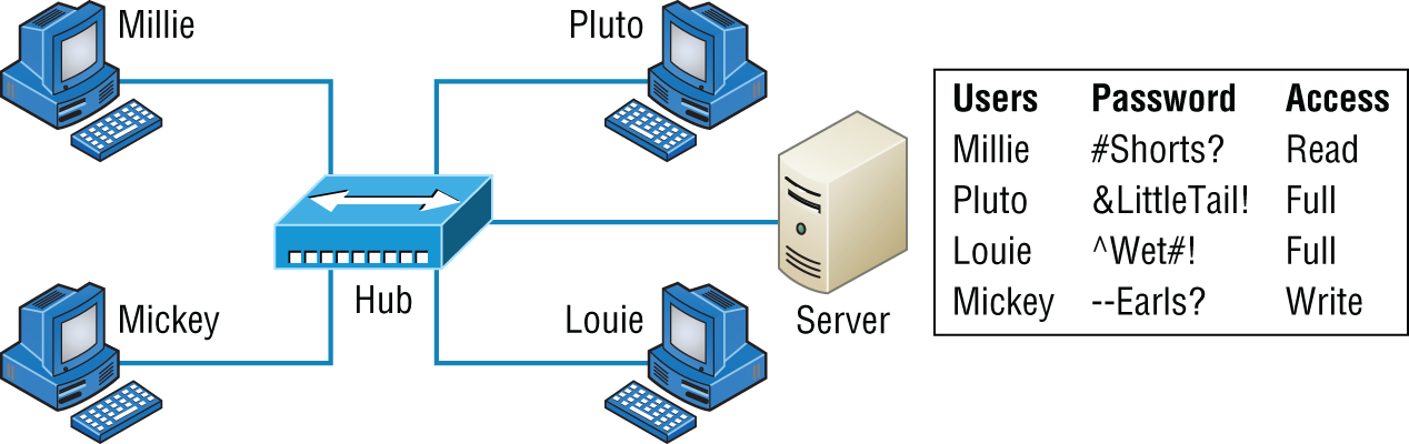 Schematic illustration of a client-server network