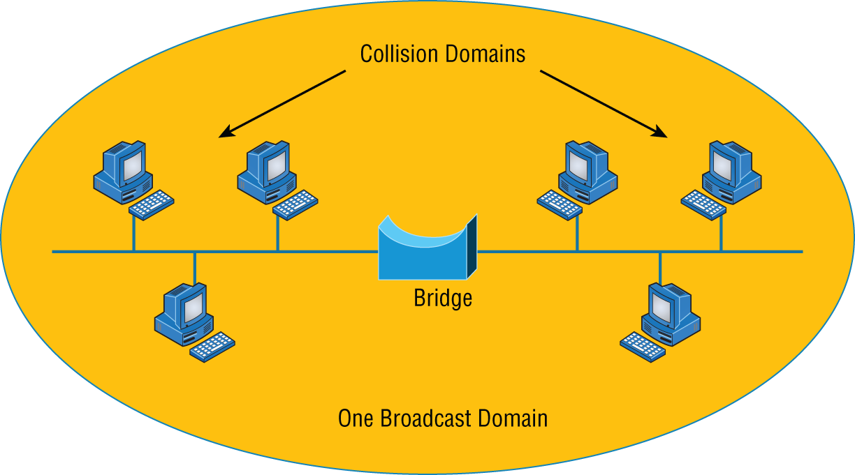 Schematic illustration of bridges break up collision domains.