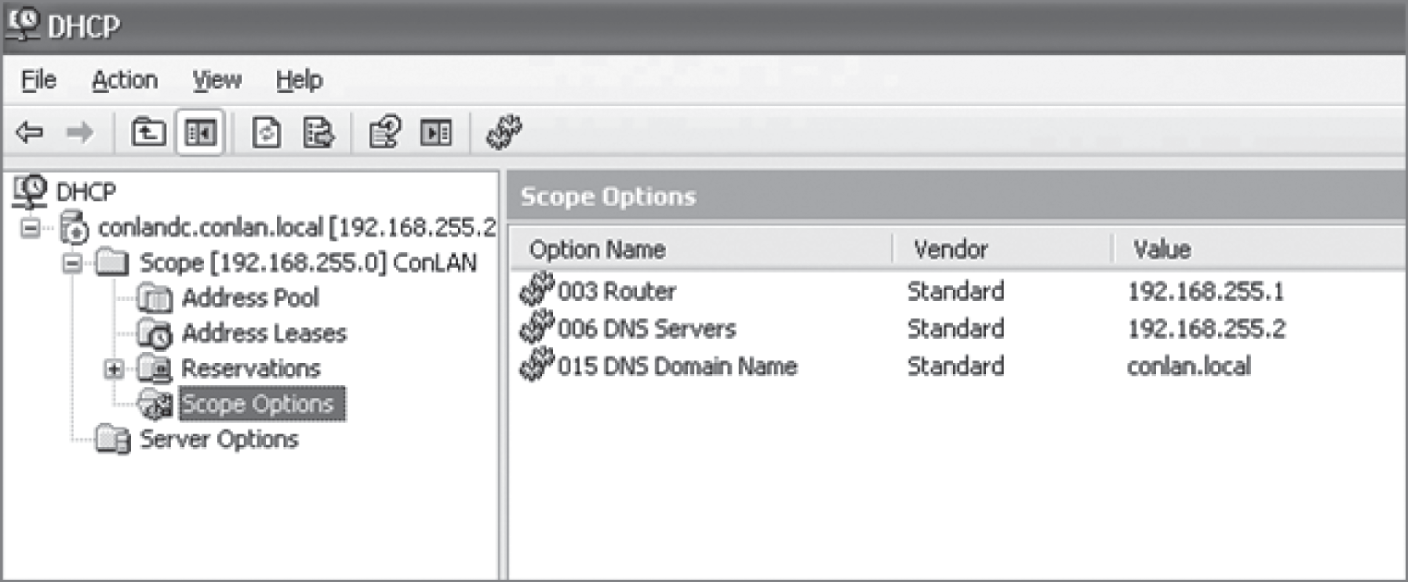 Snapshot of a Windows DHCP server's scope options