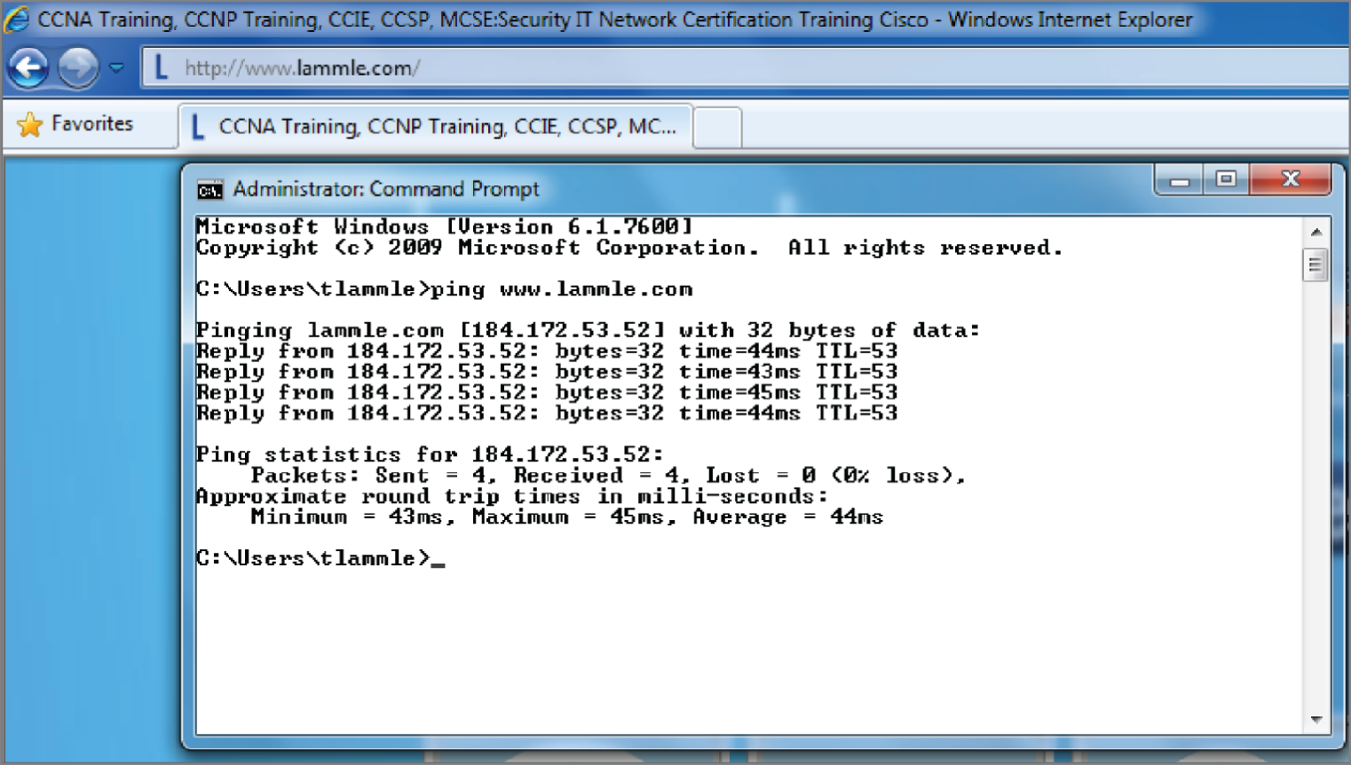 Snapshot of DNS resolution example