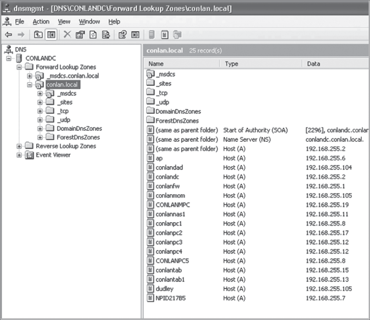 Snapshot of a Windows DNS server