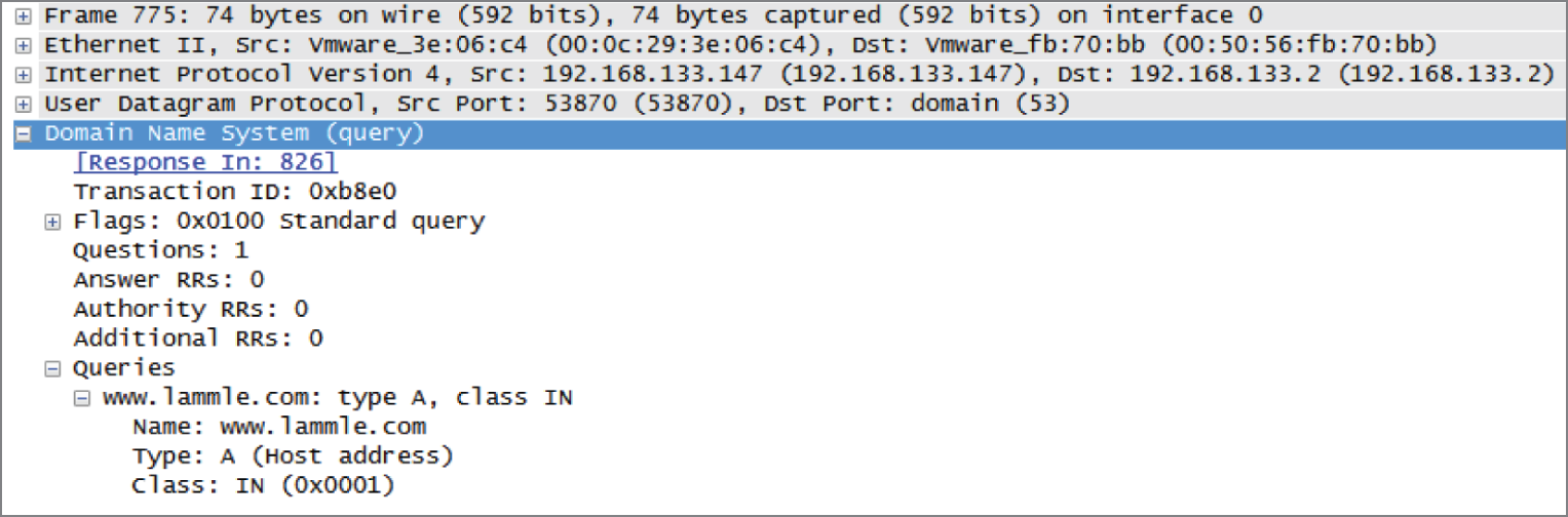 Snapshot of a DNS query to www.lammle.com