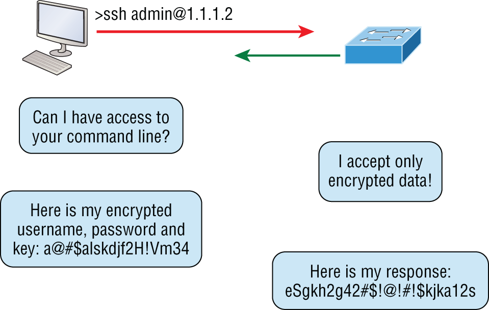 Schematic illustration of SSH