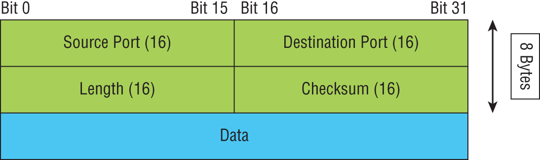 Schematic illustration of UDP segment